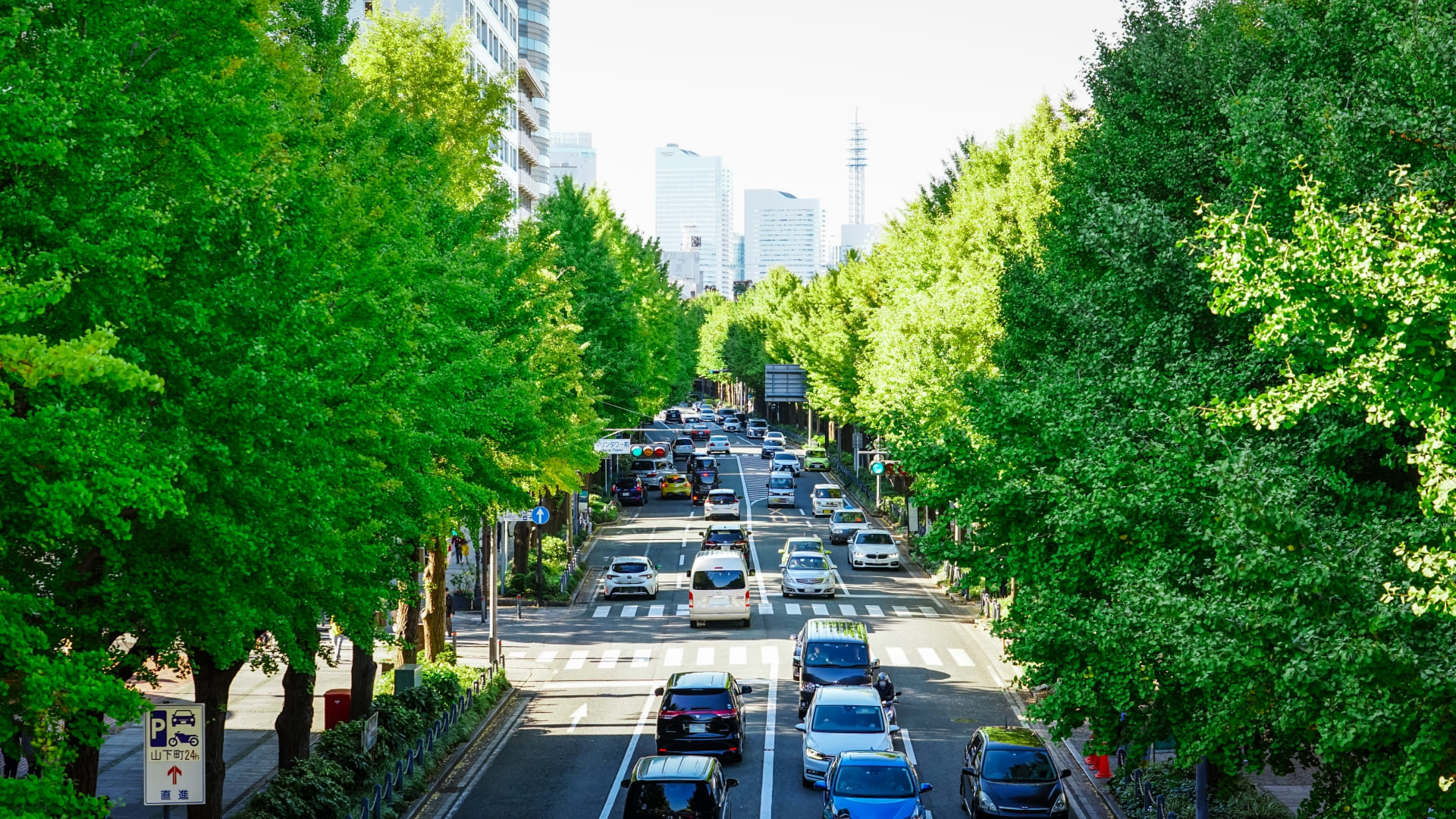 エリア密着